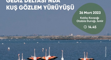 Gediz Deltası’nda kuş gözlem yürüyüşü