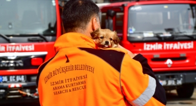 İzmirli itfaiyeci deprem bölgesinden gelen köpeğe yuvasını açtı