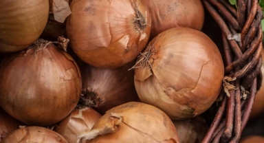 Vatandaşa kuru soğan lüks oldu... Aşırı zamların ardından gözler yeni mahsulde