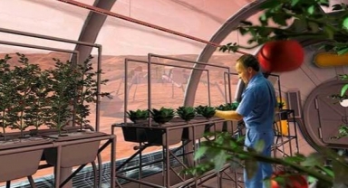 Dünya pazarında uzay domatesi