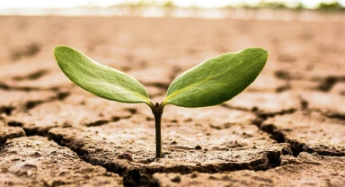 İzmir'in kuraklığa karşı mücadelesi devam ediyor