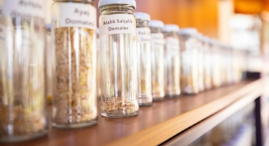 Karşıyakalılara altı ayda 200 bin paket atalık tohum dağıtıldı