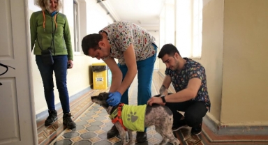 Konak Belediyesi sevimli dostları yalnız bırakmadı