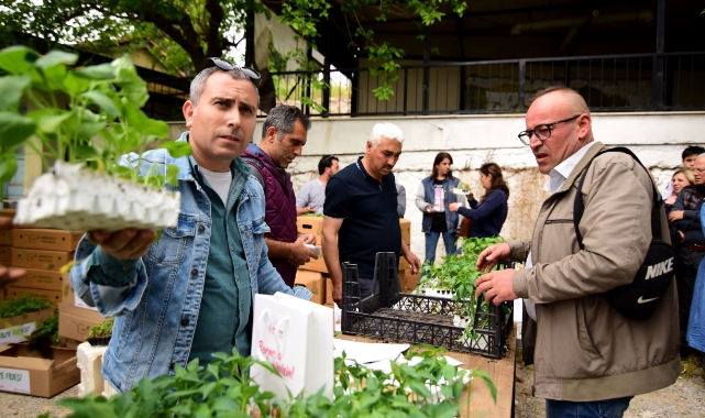 Bornova'da yerel üreticiye 60 bin fide daha!