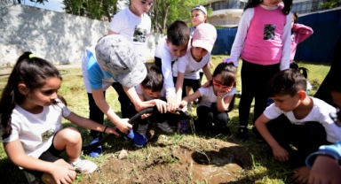  Bornova'da zeytin fidanları toprakla buluştu 