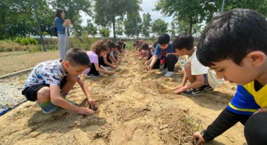 Efes Selçuklu çocuklar fidelerini toprakla buluşturdular