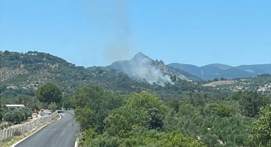 Bergama'da yangın paniği... Söndürme çalışmaları devam ediyor