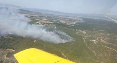 Buca'da yangın paniği: Yine ormanlık alan, yine belirsizlik... 