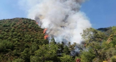 Cesedi ortadan kaldırırken ormanı yakmışlardı: Marmaris'teki cinayetin detayları ortaya çıktı 