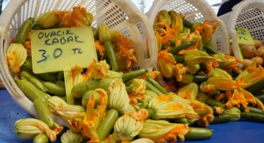 Çeşmeli üreticinin ürünleri 