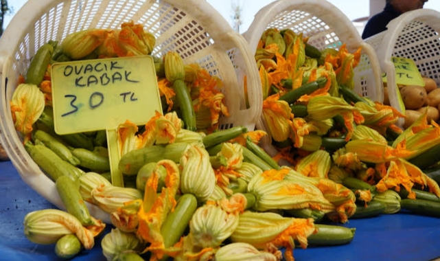 Çeşmeli üreticinin ürünleri