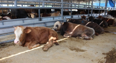 Karşıyaka bayrama hazır... 