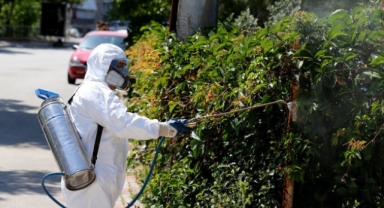 Karşıyaka'da haşere sorununa çevre dostu çözüm 