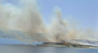 Alevler hızla yayılmıştı... Urla’daki yangının sebebi belli oldu! 