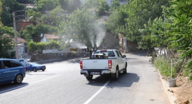 Bayraklı'da ilaçlama çalışmaları sürüyor... 