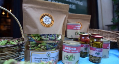 Bornovalı üreticiden sofralara... Bornova Kınalı Bamyası tezgahlarda yerini aldı!