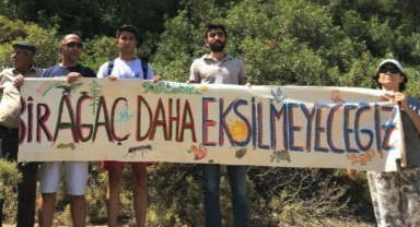 Çevre direnişine ana muhalefetten destek: Kılıçdaroğlu ve CHP'li vekiller Akbelen'e gidiyor!