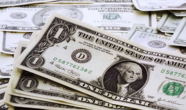 Dolardaki artış 30 lirayı bulacak: Hedef yatırımcı çekmek!