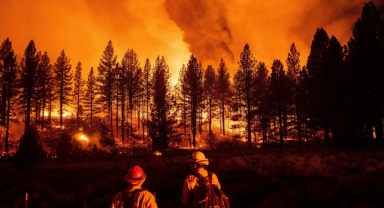 Dünyada son 10 yılda 82 milyon hektarlık ormanlık alan yok oldu 