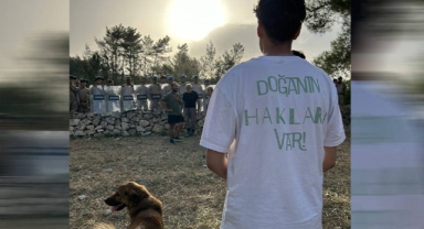 Halkın doğa için mücadelesi dördüncü gününde: Akbelen'de ağaç kesimi devam ediyor! 