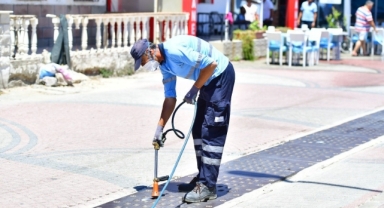 İzBB’den sivrisinekle mücadele