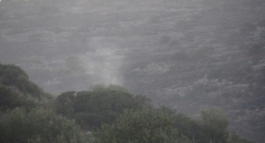 İzmir’de yangın paniği: Ormanlık alan alevler içinde kaldı