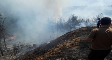 İzmir'in iki ilçesinde orman yangını! Havadan ve karadan müdahale sürüyor