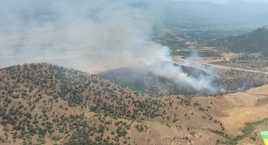 Kiraz'da yangın paniği... Tarlada başlayan yangın ormanlık alana sıçradı! 
