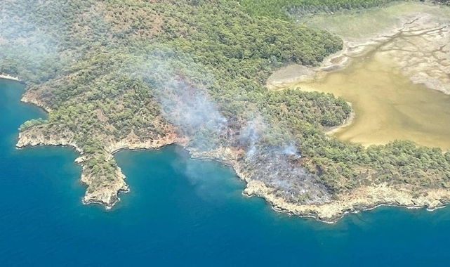 Muğla'da yangın paniği: İki hektarlık alan zarar gördü