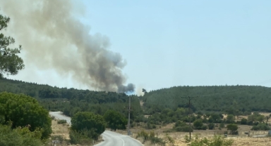 Ödemiş ve Kınık'ta orman yangını: Havadan ve karadan müdahale sürüyor! 