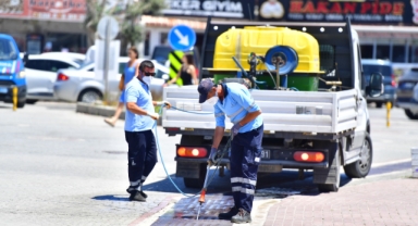 Prof. Dr. Enver Durmuşoğlu: 