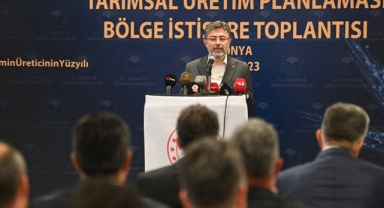 Tarım ve Orman Bakanlığı: 6 bin 900 hektarlık alan zarar gördü