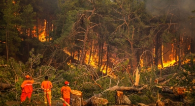 Türkiye'nin akciğerleri yanıyor... Son 10 günde 203 orman yangını 