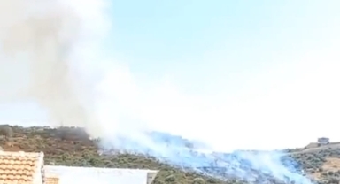 Yeni Foça'da orman yangını