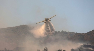 Yunanistan'da yangın söndürme uçağı düştü