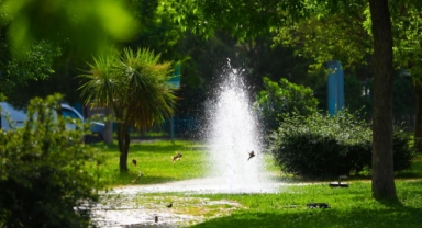 Bayraklı'da son dört yılda 152 bin metrekare yeşil alan: 