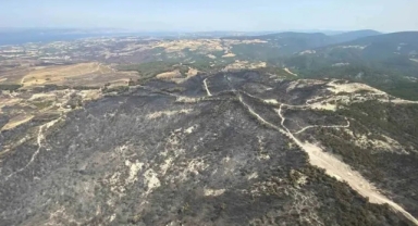 Çanakkale'de 5 bin 712 futbol sahası büyüklüğünde alan yandı