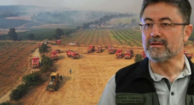 Çanakkale'deki orman yangını kontrol altına alındı!