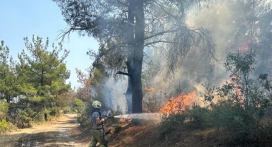 Çanakkale’deki yangına İzmir’den destek