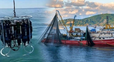 Deniz suyu yüzey sıcaklıklarında korkutan artış