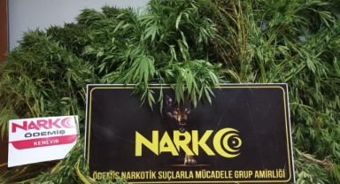 İzmir'de 50 uyuşturucu operasyonu: 25 şüpheli tutuklandı