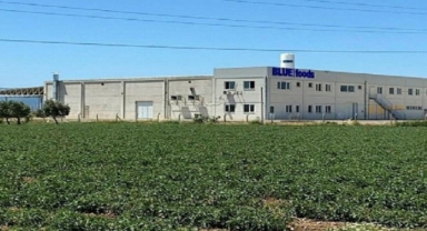 İzmir’de fahiş kira tansiyon yükseltti: Mal sahibi kapıya bekçi koydu! 