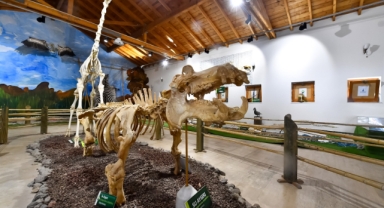 İzmir’in unutulmaz fili Pak Bahadır'ın iskeleti ziyaretçileri bekliyor