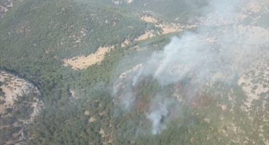 Kemalpaşa'da orman yangını!