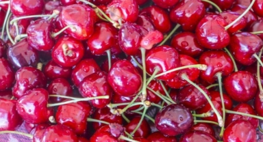 Kiraz ihracatı rekora koşuyor: 