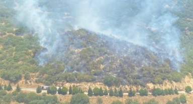 Otomobilde başladı, ormana sıçradı: Ödemiş'te orman yangını! 