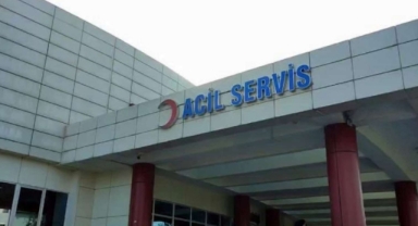 Sakarya'da duygulandıran görüntüler: Ağzında taşıdığı yavrusunu acil servise getirdi