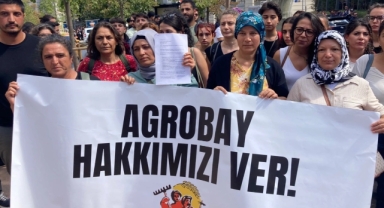 39 işçi işten çıkarılmıştı... Agrobay yetkilisinden skandal açıklama