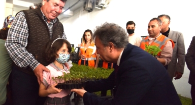 Bornova’da budanan dallar yeni bitkilere can veriyor