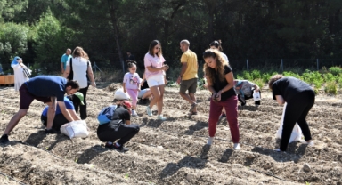Bornova’da hareket başladı